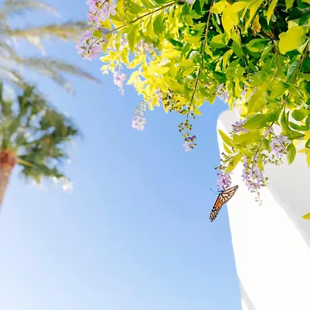 Hd パルケ クリストバル テネリフェ 3* プラヤ・デ・ラス・アメリカス