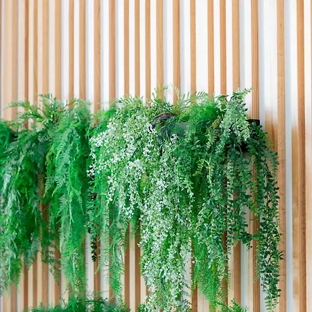 Hd パルケ クリストバル テネリフェ