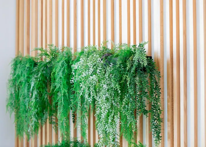 Hd パルケ クリストバル テネリフェ