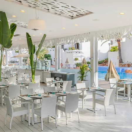 Hd 파르케 크리스토발 테네리페 플라야데라스아메리카스