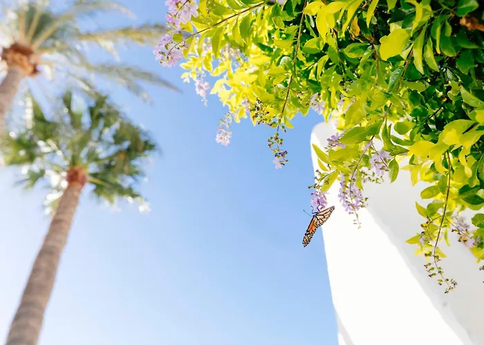 Hd Parque Cristobal Tenerife 3* Плая-де-лас-Америкас